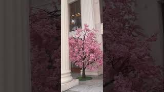 Сочи  ❤  🌴   Морпорт. ....сентябрь.. 2025 г....
