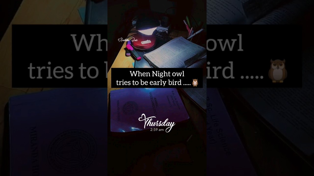Night owl vs Early birds | Study time🥱😴!!