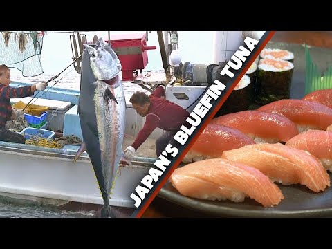 Video: Wurde Wicked Tuna storniert?
