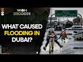 Dubai Floods: What caused flooding in Dubai? I WION Decodes