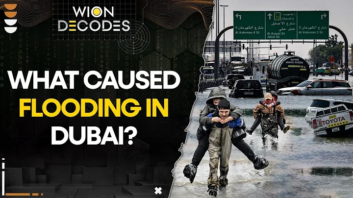 Dubai Floods: What caused flooding in Dubai? I WION Decodes - DayDayNews