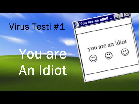 Virüs Testi #1 - You are an Idiot