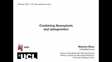 2020 Lecture 3.03 -Combining Neuropixels with optogenetics - Maxime Beau (UCL)