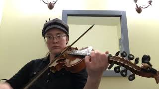 Zeeto the Bubbleman on Hardanger Fiddle