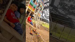 Pakat Pakat Mai Perlis -2025