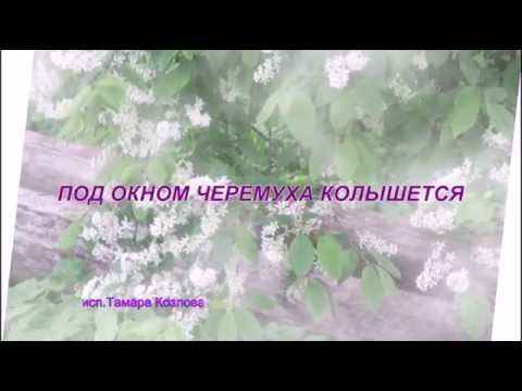 Песня за рекой черемуха колышется. Черёмуха колышется. За окном черёмуха колышется. Под окном черемуха текст. За рекой черемуха колышется распуская лепестки свои.