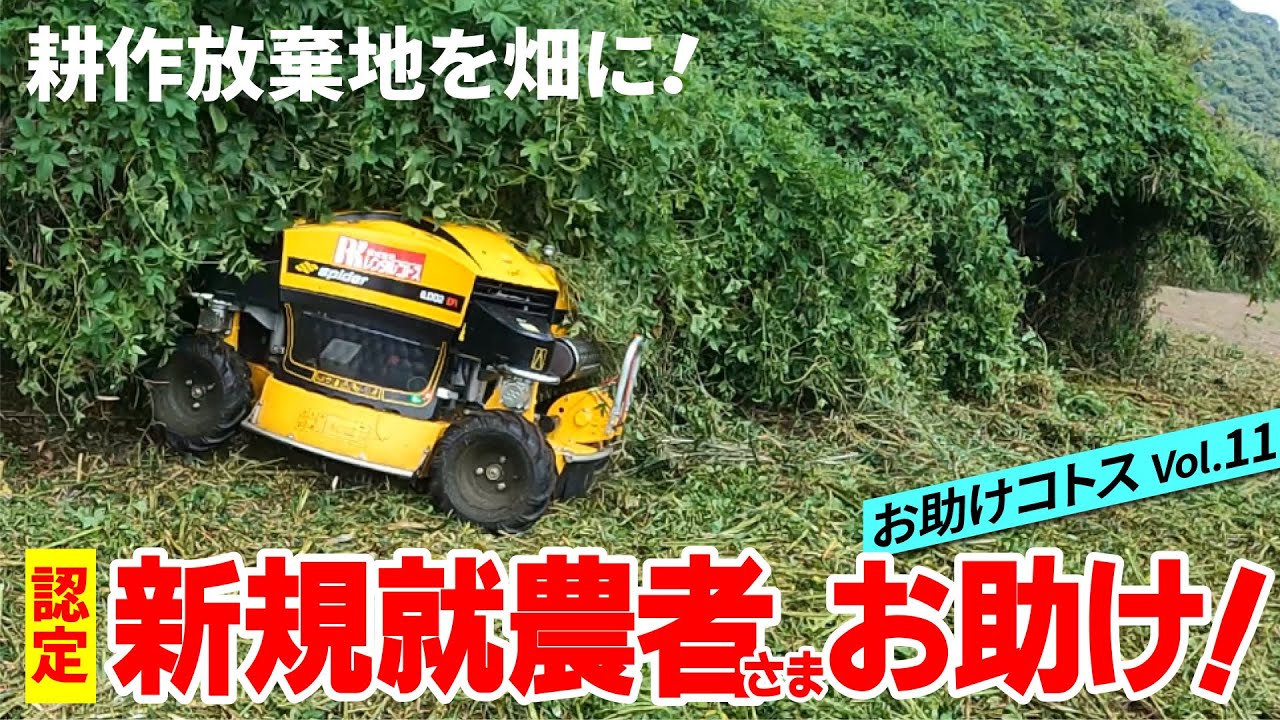 草刈り・除草代行サービス｜株式会社NINJA LINKSS【滋賀県対応・広大な