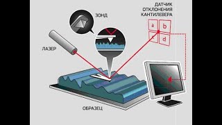 задача №9 Анализ профиля поверхности методами атомно-силовой микроскопии