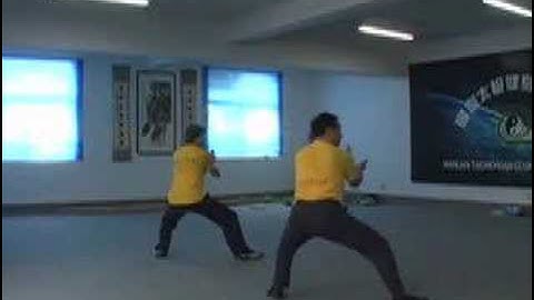 Chen Style New Frame TaiChi - Xin Jia Yi Lu by Master LiuYong and Ali Walmsley -