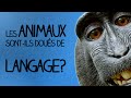 Les animaux sont-ils doués de langage? - Ma Langue dans Ta Poche #4