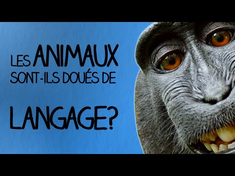 Vidéo: Les os sont-ils disposés de la même manière chez chaque animal ?