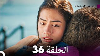رائحة الفراولة الحلقة 36 (Arabic Dubbing)