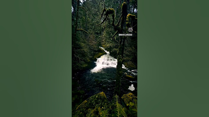 nature beauty #shorts #ytshorts #viralvideos