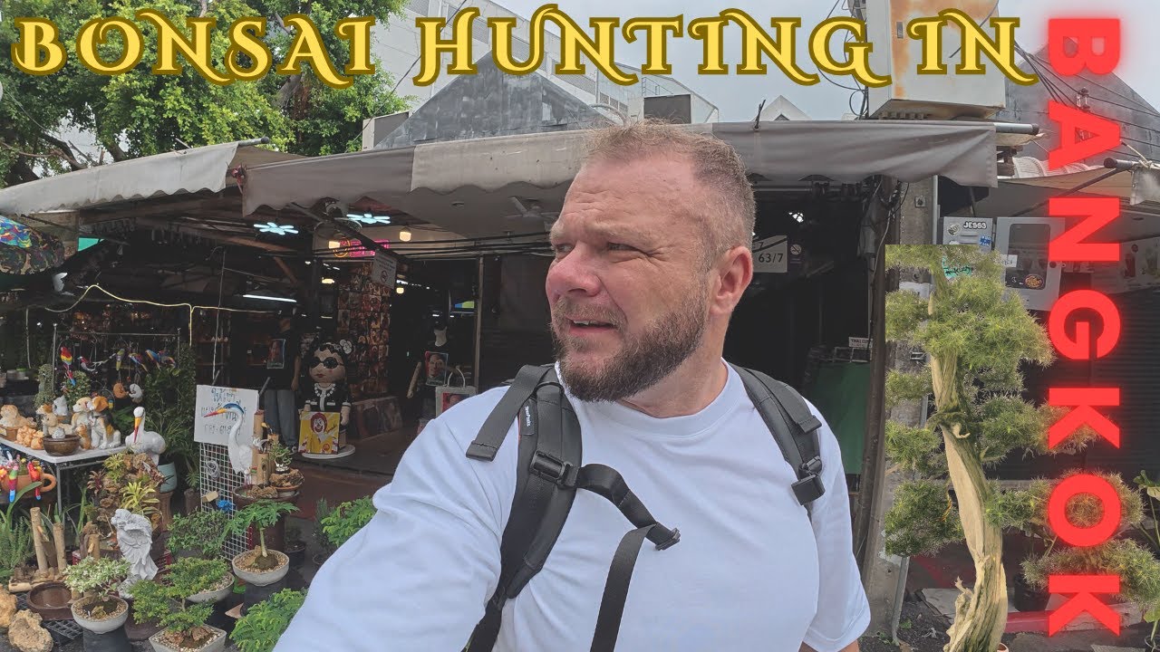 Scott's Bonsai goes International! Chatuchak Market Walking Tour, Bangkok.