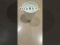 やっと来た〜🙌 #shorts #shortvideo #short #shortsfeed #飯テロ