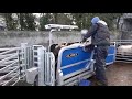 Clipex sheep handling  clipex sheep handler with auto drafting