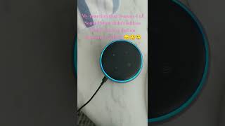 My Reaction That Sonic Prime Got Canceled On Netflix