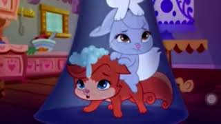 Pumpkin, Berry, Treasure And Dreamy Was Asleep Eyed Scene