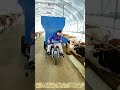 自走式自動給餌カートを用いた牛舎内飼料の連続均一散布および酪農省力化加工過程 #worker #process #automation #ranch #technology