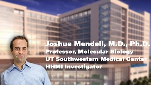 Regulation and Function of Non-coding RNAs - Joshua Mendell, MD, PhD