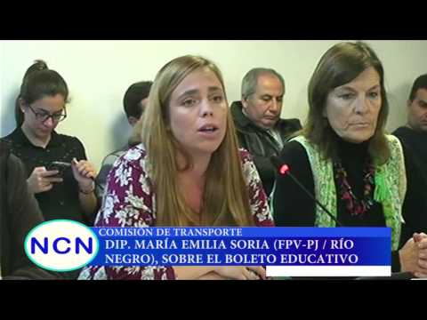 Comisión de Transporte - Dip. Soria, sobre boleto educativo