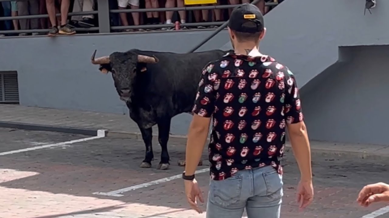 Me enfrento a la muerte en los encierros de Molinicos (Albacete)