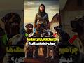 چرا هیچکدوم ازاین سگ ها بهش حمله نمی کنن دانستنی فکت عجائب عجایب سرگرمی دامپزشکی سگ حیوانات یوتیوب 