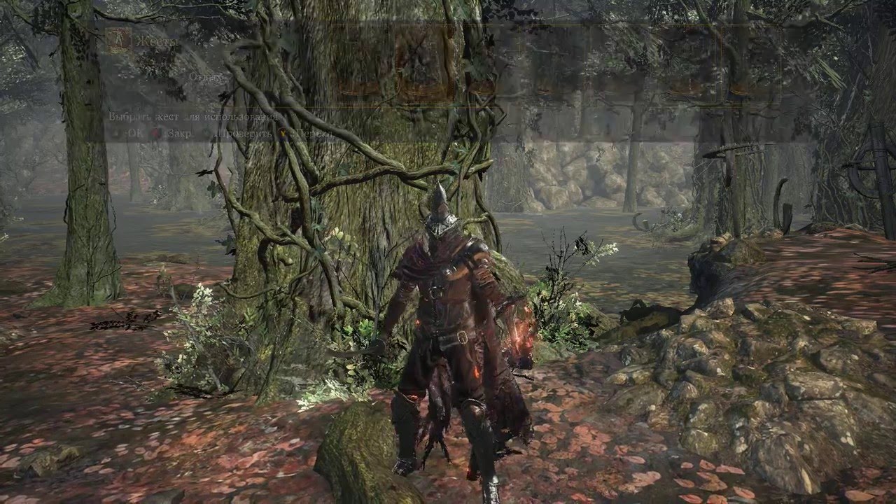 Fallen Knight Armor Location Dark Souls Iii