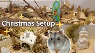 Natural Christmas Hamster Cage Setup 2023 🎁✨🎄