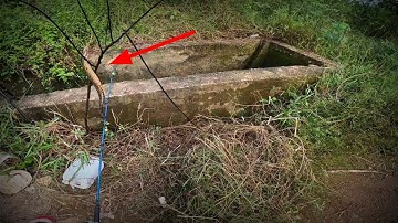 Câu Cá Mương Ngầm | Cây Trôi Nhiều Quá Vẫn Lên Cá Chạch Đều Đều