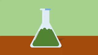 CONICAL FLASK.