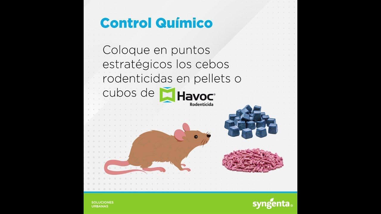 Veneno Para Ratas Grandes Ratones Roedores Havoc Pellet 1kg