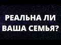 Кому принадлежит ваша семья