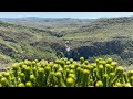 AS PLANTAS MAIS LINDAS DO PARQUE NACIONAL SERRA DO CIPÓ