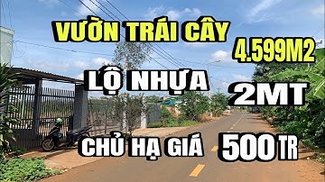 Chú Thạnh giảm giá, bán gấp vườn trái cây, 2MT, Lộ nhựa, Huyện cẩm Mỹ cũ, Đồng Nai