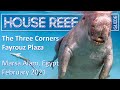 House Reef Guide | The Three Corners Fayrouz Plaza | Egypt - Marsa Alam | February 2021 | Snorkeling