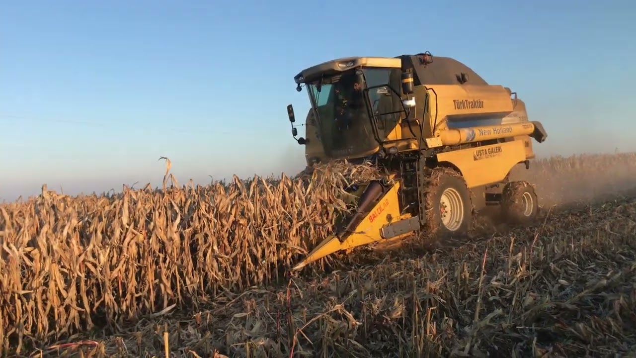 5070 Mısır biçimi