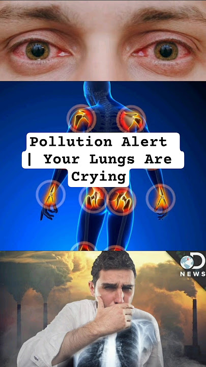 Pollution Alert | Your Lungs Are Crying