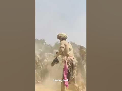 holi audio dj