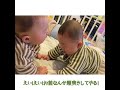 【双子の赤ちゃんの喧嘩】取っ組み合い　生後6ヶ月