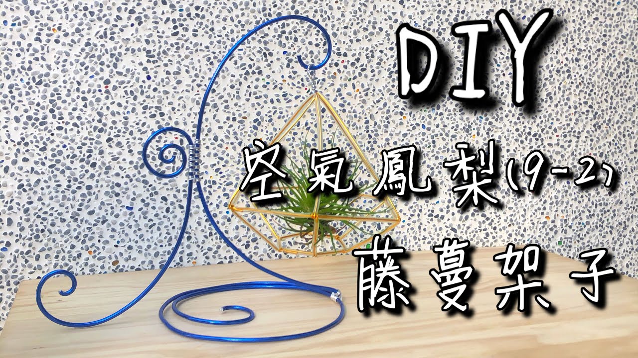 DIY wire 教你如何使用彩色鋁線製作空氣鳳梨  藤蔓架子  How to make Aluminum wire Air plant Vine shelf