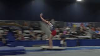 Robert Neff - Vault - 2020 Winter Cup Senior Prelims