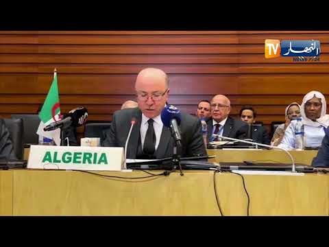 رئيس الجمهورية نشيد بالجهود المبذولة في سبيل تحقيق المصالحة في ليبيا