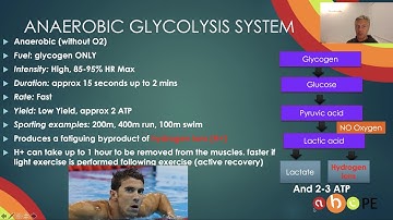 Energy Systems Anaerobic