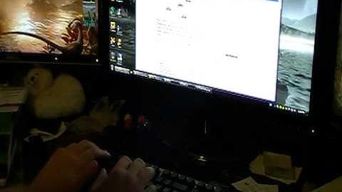 Das Keyboard S Ultimate typing