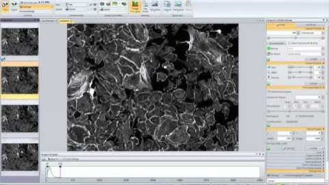 Monochrome Camera Control in Q Capture Pro 7 Software