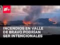 Incendios en Valle de Bravo habrían sido intencionales; piden apoyo para brigadistas - En Punto