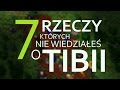 7 rzeczy, których nie wiedziałeś o Tibii