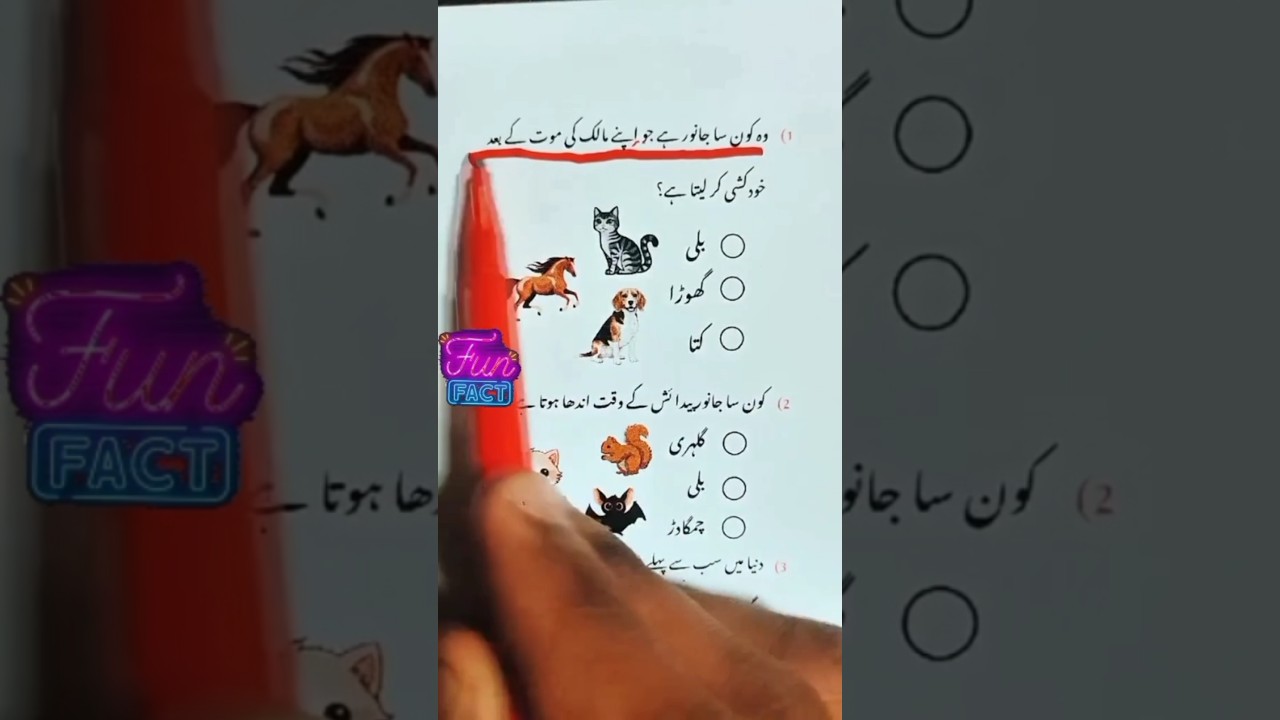 What animal commits suicide after the death of its owner 