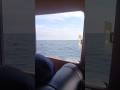 #music #sundahits #kepulauanseribu